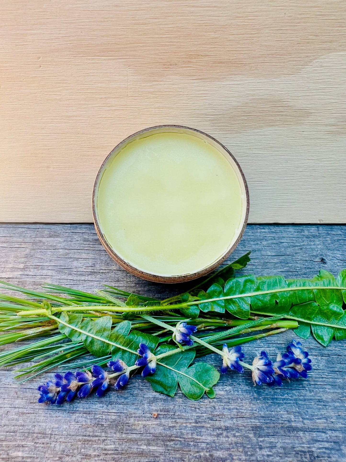 Tallow Salve Plus – Natural First Aid for Everyday Needs