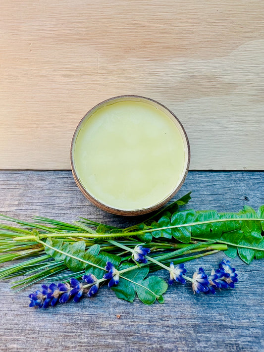 Tallow Salve Plus – Natural First Aid for Everyday Needs